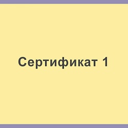 Сертификат 1